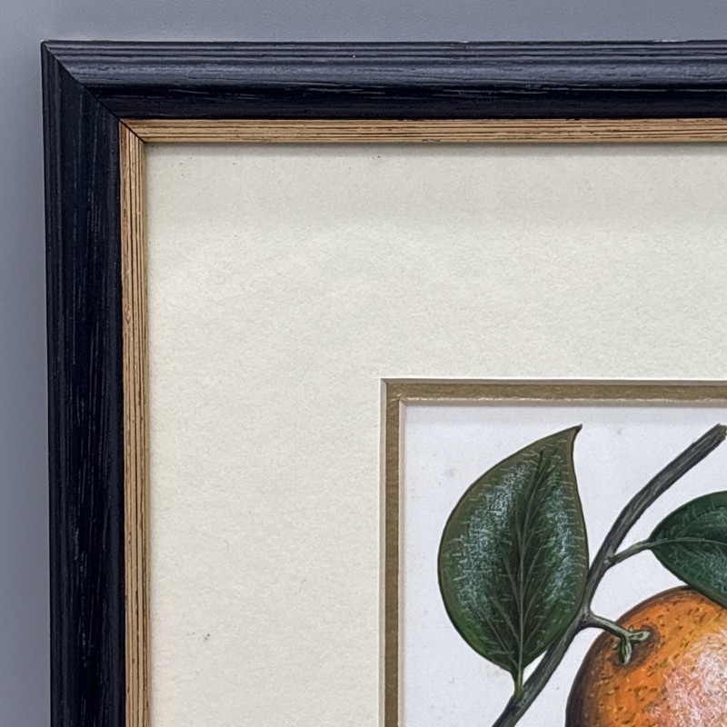 Bernard F Carter Original Watercolor Painting Orange Floral Birthday Book Jan 17 gallery