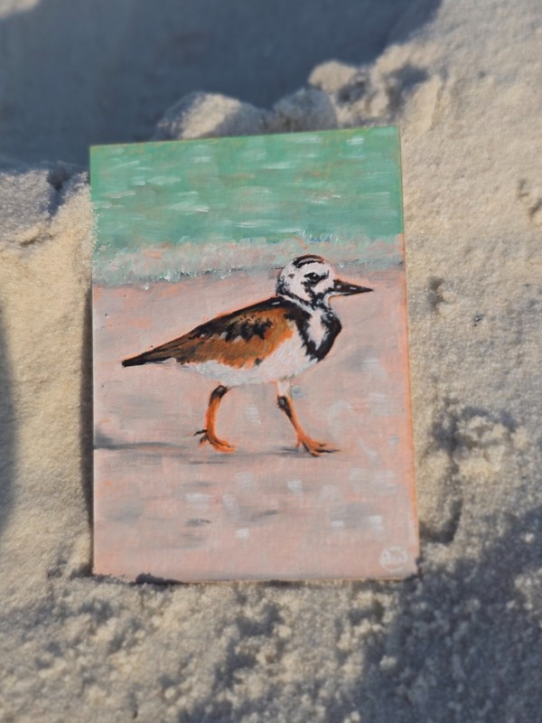 Original ACEO Oil Painting – Coastal Sandpiper Bird on the Beach, OOAK 2.5 x 3.5