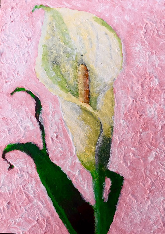 Brigraphics, Canvas Panel, Acrylic Paint, Flowers Lily 5in x 7in