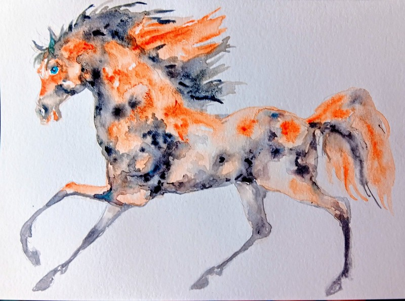 Signed Original watercolor painting on paper,equine,Horse running art 7.5x5 gallery