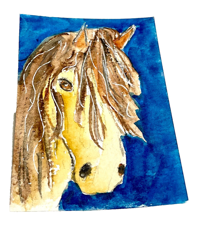 ACEO original horse equine ATC OOAK Cherie Donnell
