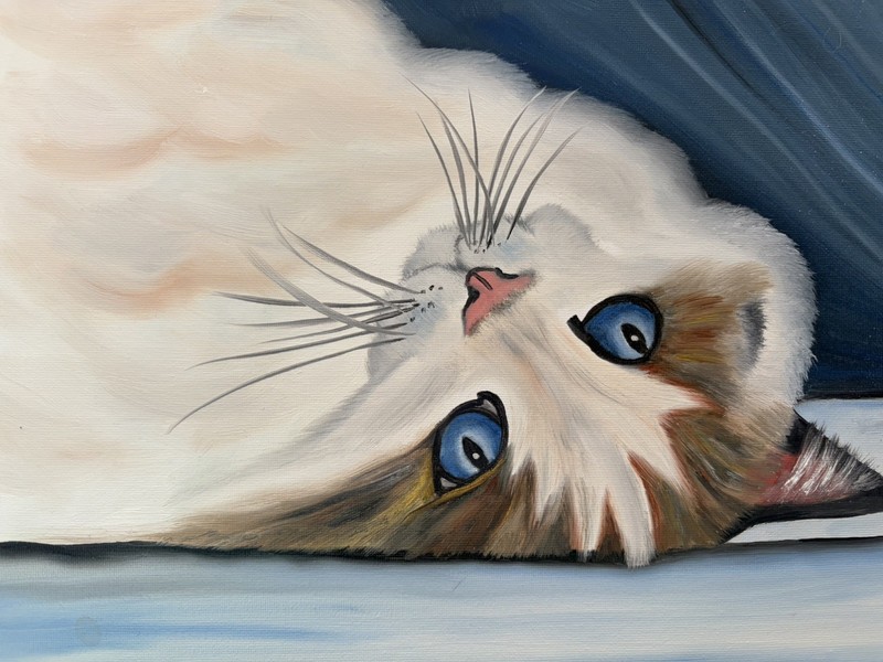 Original oil painting 11 x 14 inch beautiful white cat blue eyes- free shipping