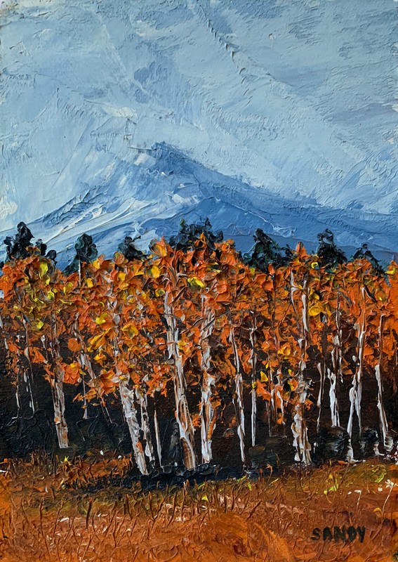 Oil Painting Aspen Tree Grove Mountain Landscape Original By Sandy Heavy Texture