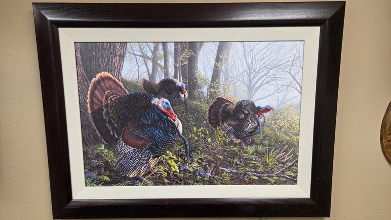 PAT PAULEY Spring Treasures Framed, Signed, Numbered 63/2600 NWTF