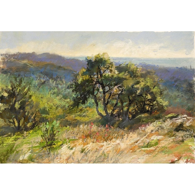 ORIGINAL Art Soft Pastel Landscape Carmel Mountain 11″x15.3″ Tatiana Ilitzky