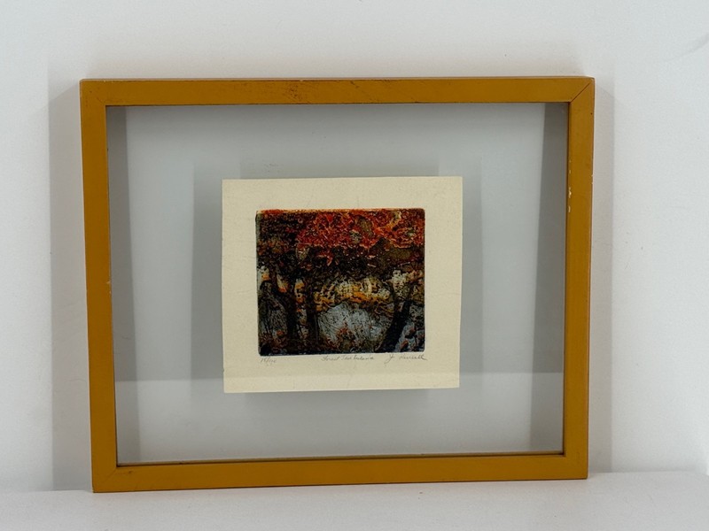 Rare Vintage Joan J. Purcell Forest Turbulence Original Etching 15/114 Framed