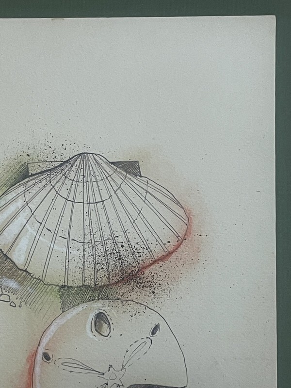 Jerry Seagle, Texas Artist (1941-2016) Watercolor Painting - Seashells gallery