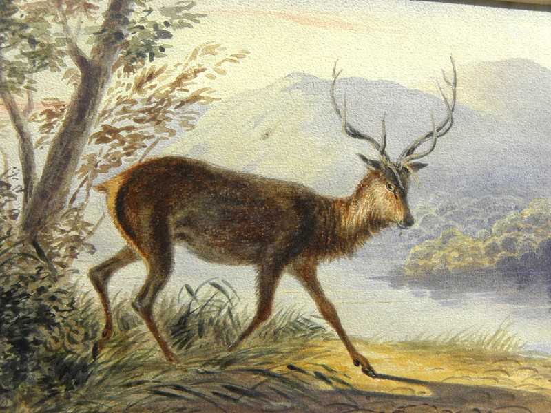 Newton Fielding 1799-1856 antique English watercolor painting of a stag gallery