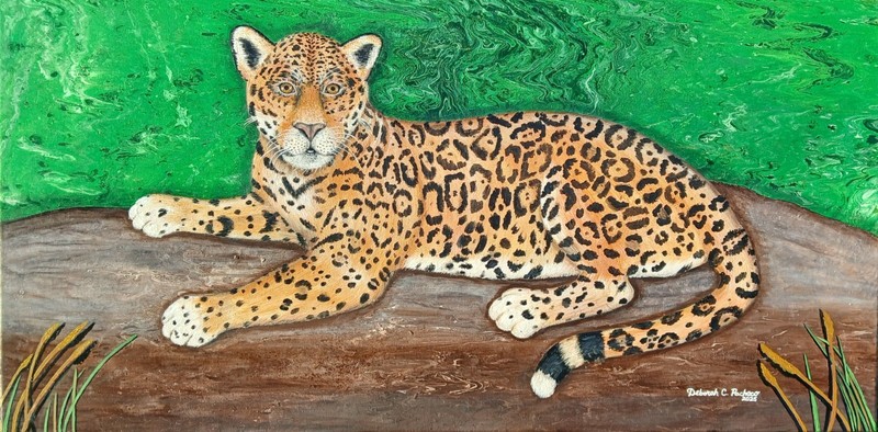 Arizona Jaguar