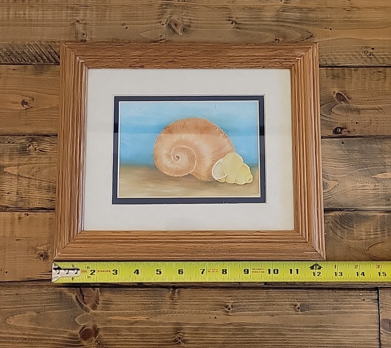 Beautiful Original Watercolor Seashells on Board Framed 10" x 12" gallery