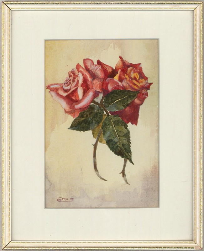 Colston – 1975 Watercolour, Two Roses