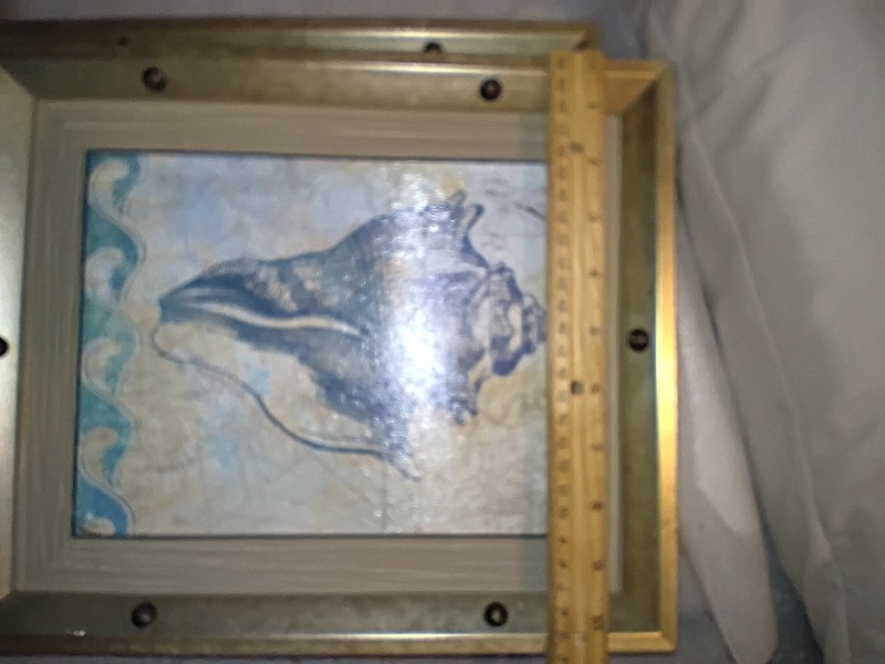 Vintage seashell wall art , Painting Of Conch Shell, Signed Nan gallery