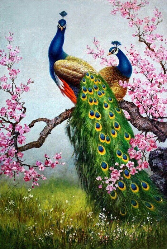 Peacock Oil painting Wall art Giclee Printed on Canvas 16X24 inch P043