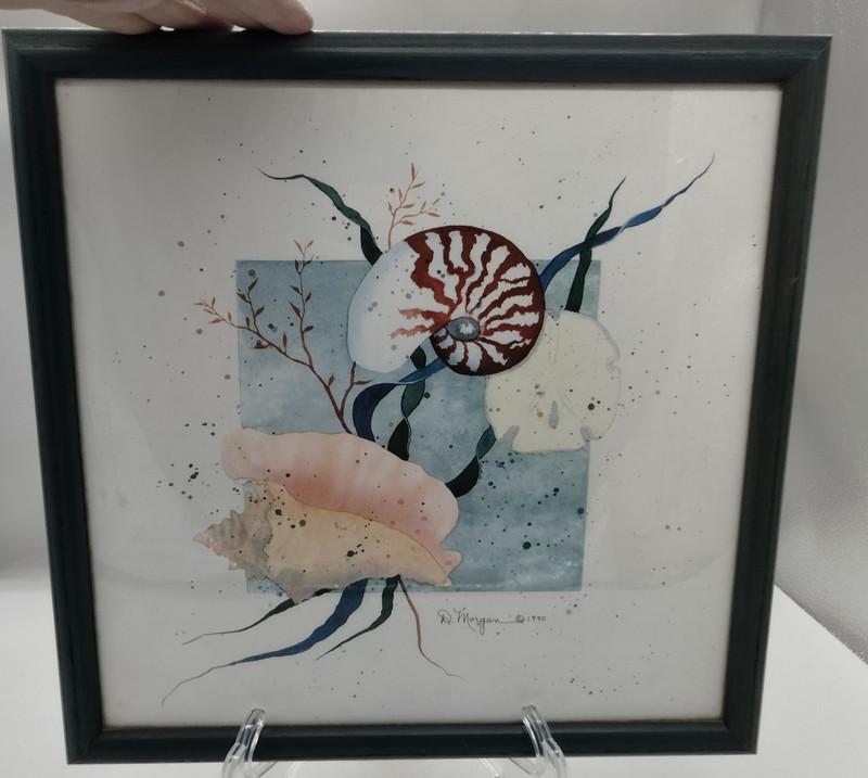 D. Morgan Nautical Seashell Ocean Beach Watercolor Signed & Framed 13×13
