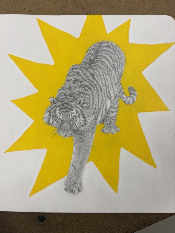 Tiger pop drawing print , Yellow Starburst Background, Contemporary, Unframed
