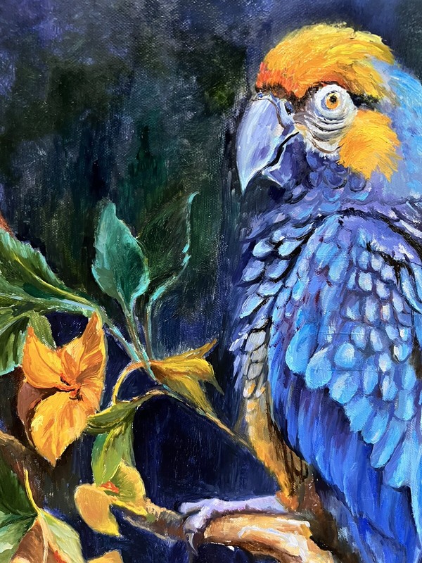 Parrot Portrait, Original Painting oil, 16x20 inches, Handmade Gift, Home Decor gallery