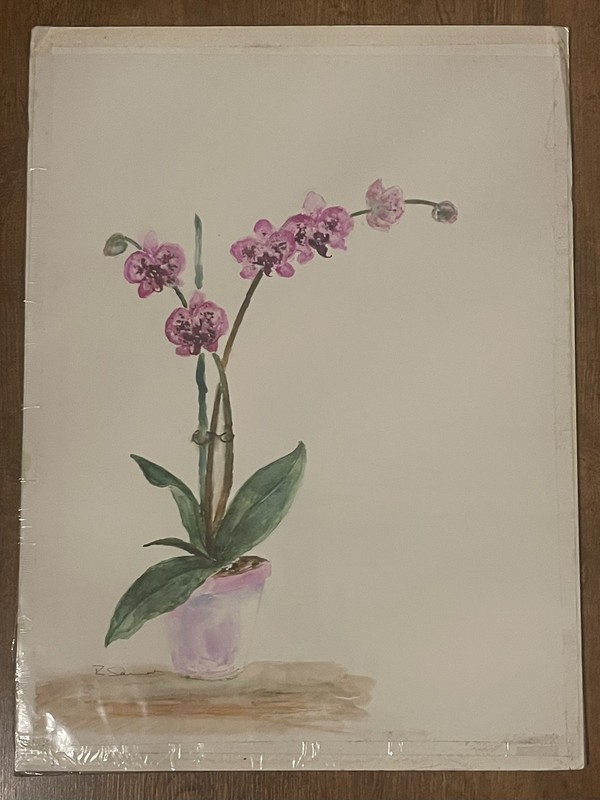 Watercolor Painting Original Orchid Still Life Flowers SIGNED UNFRAMED 18”x 24”