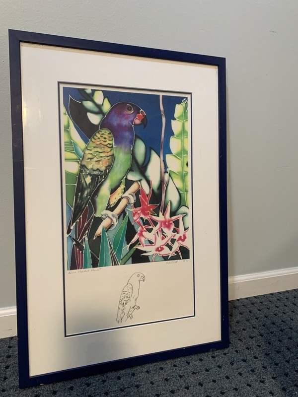 Blue Headed Parrot Watercolor Painting, Limited Edition, Signed, Matted & Framed