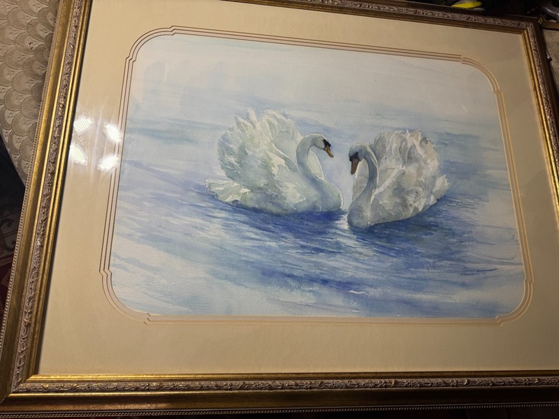Large «Two Swans Scene» Watercolor Painting – Signed And Framed