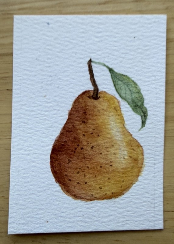 ACEO Original Mini Art Card OOAK Watercolor Pear Fruit Summer 2.5 x 3.5