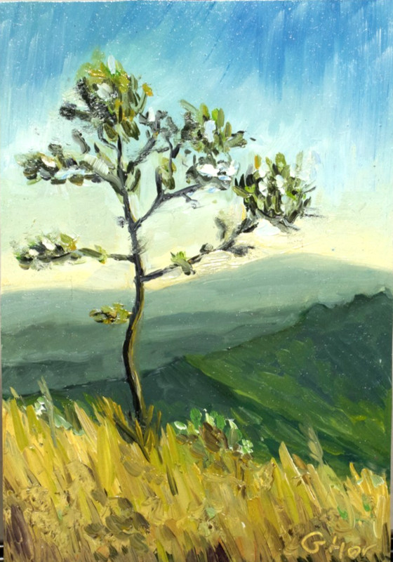 Original Small Oil Landscape Painting – Chiang Mai Mountains Thailand – 19×13 cm