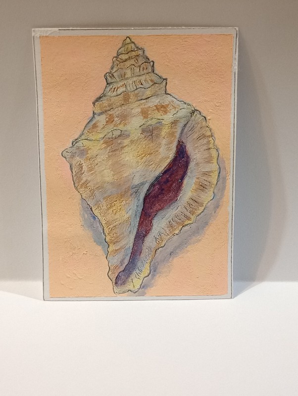 ACEO Original - Detailed Spiral Conch Sea Shell, Coastal Mini Art gallery