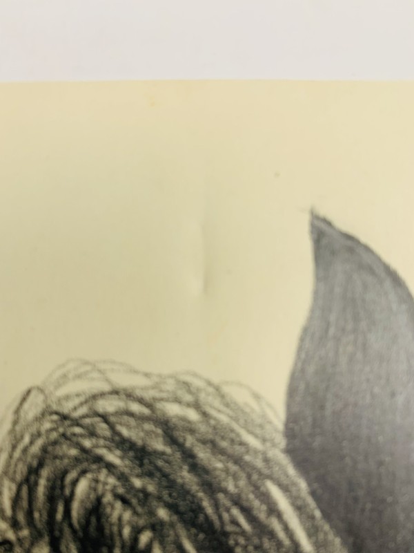C.1964 HORSE, HIGHLY DETAILED, GRAPHITE PAPER LINDA LANCASTER ORIGINAL ART b F47 gallery