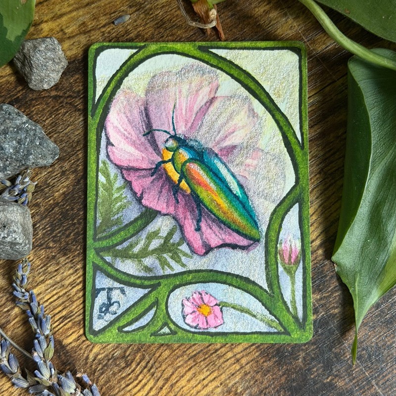 Original Watercolor ACEO Jewel Beetle Cosmos OOAK Art Nouveau Hope Miniature
