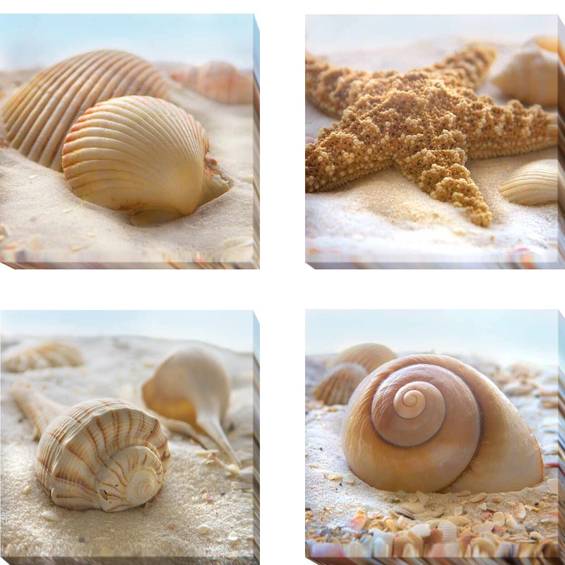 Beachy Shell by Geissler 4-pc Gallery-Wrap Canvas Giclee Set (14 in x 14 in Ea,)