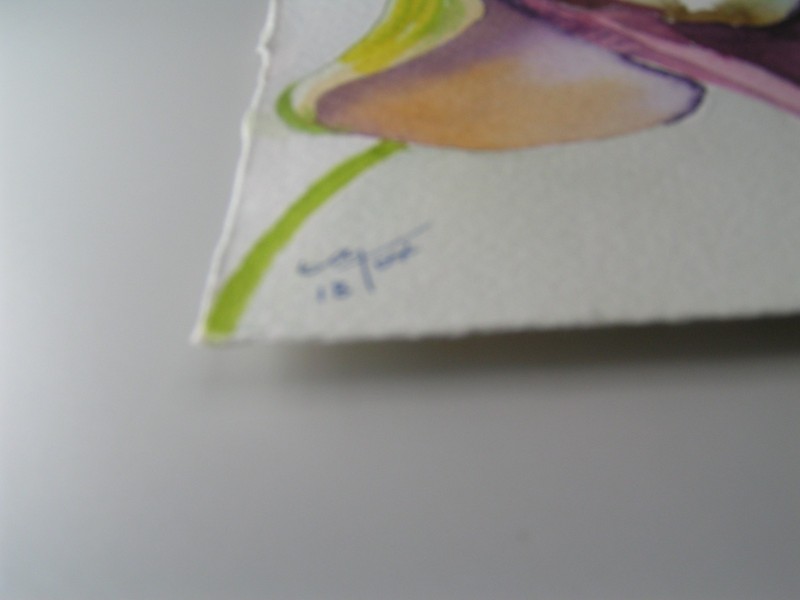 Unframed Original Signed Angel Trumpet Watercolor Painting-Betsy Fox 5.5"X7.5" gallery