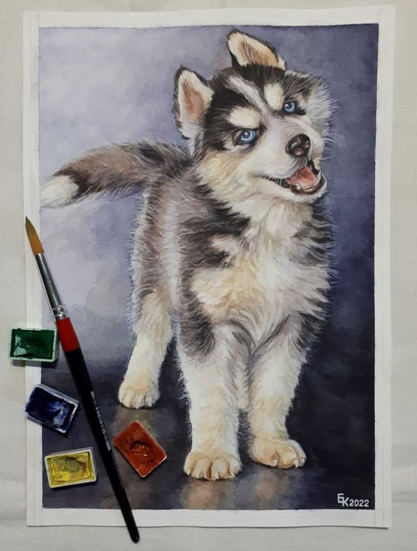 Siberian Husky Dog Cute Puppy animal portrait watercolor painting Nursery A4 Art gallery