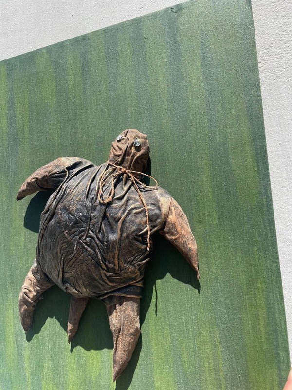 Original Turtle Skin Acrylic 3D Canvas Exclusive Steam Punk 24X18 in Hand gallery
