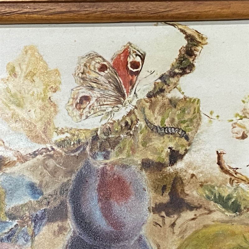 Vintage Glass Painted Fruit Still Life Framed 9 x 11 Butterfly bee gallery