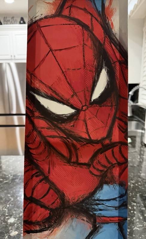 Spider-Man Painting & Spiderpan Red Plush Lamp! Who Loves Spider-Man! ❤️🖤 gallery