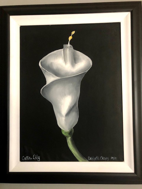 Calla Lily