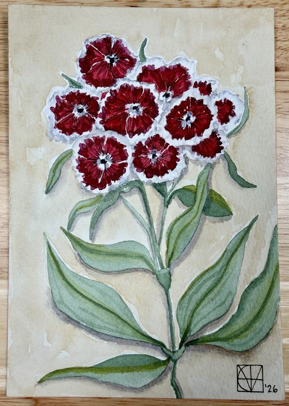Painting by M. Hackney Sweet William Floral Watercolor & Ink, Signed, 5×7 COA