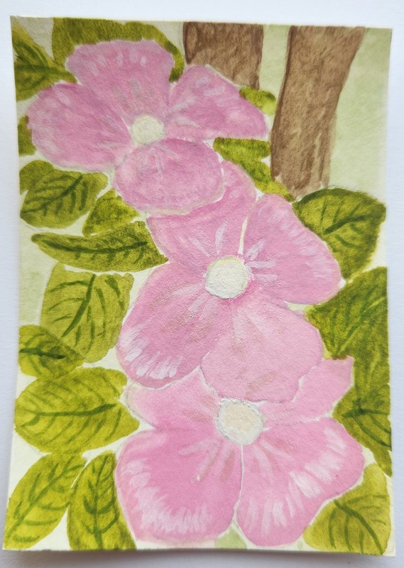 Original Watercolor ACEO Painting Dogwood Tree Flowers