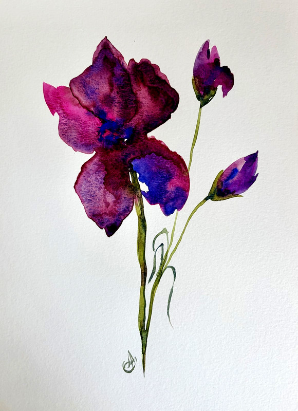 Original Purple Iris Watercolor Painting Floral Art Signed