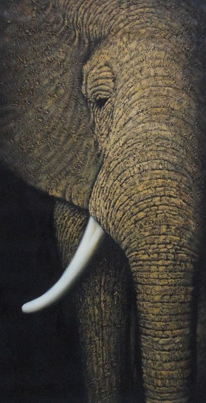 48×24 Large African Elephant Head I Oil Painting Decorative Animal