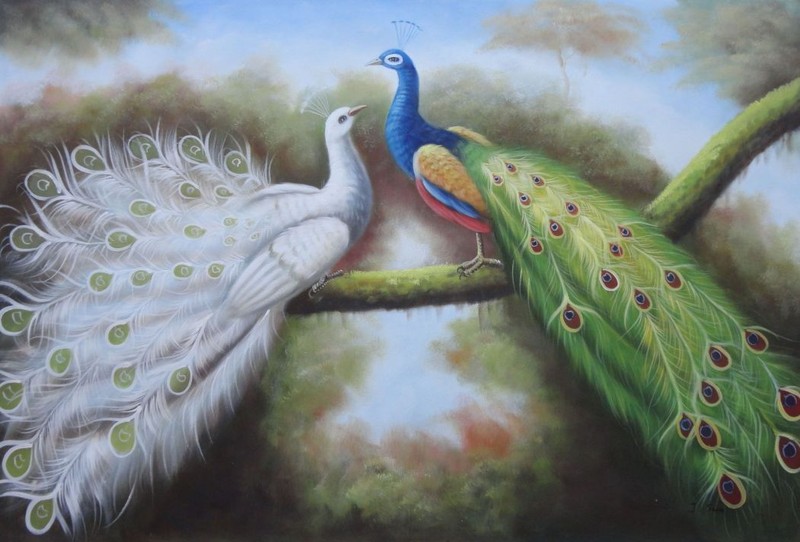 24×36 Indian Peafowl White Peacock Tree Branch Quiet Forest Oil Painting