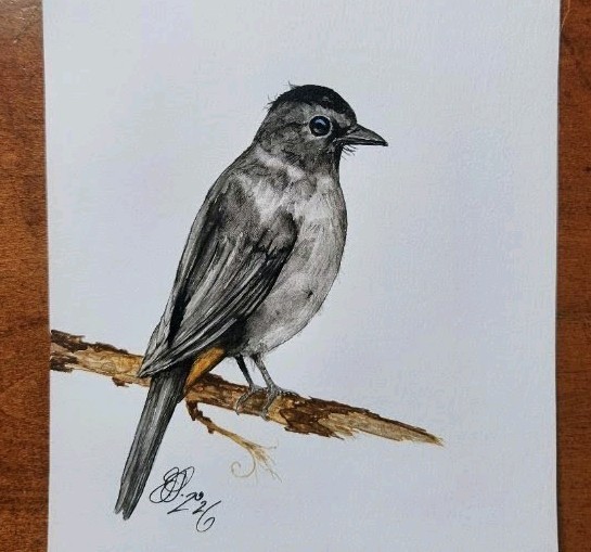 Bird Watercolor. gallery