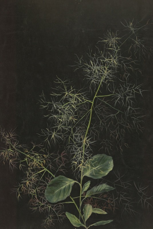 Vintage Lg Botanical Painting Repro Print-Neutral-Green-Golden-Black, Classical