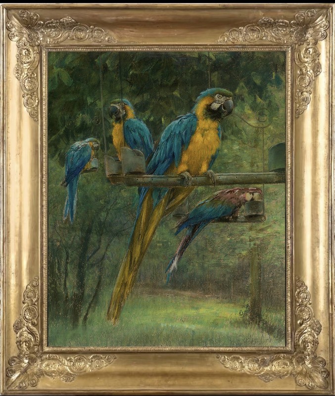 Hand Painted Oil Painting Animals Macaw Parrot Antique Style Classical Art Decor