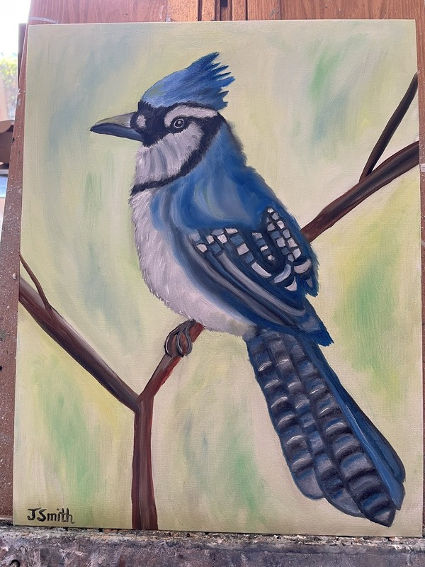 Original oil painting 11 x 14 inches gorgeous colorful blue jay bird gallery