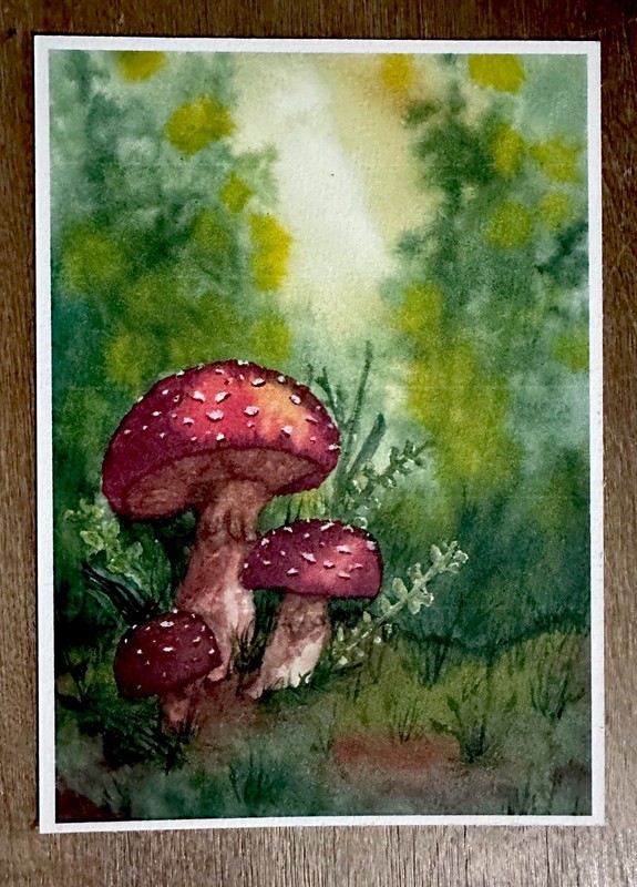 Original Water Color Print 5×7 Forest Mushrooms