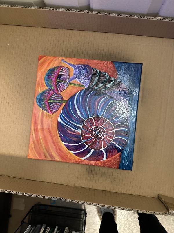 Psychedelic Snail & Mushrooms – Original 12x12 Acrylic by Self-Taught Artist gallery