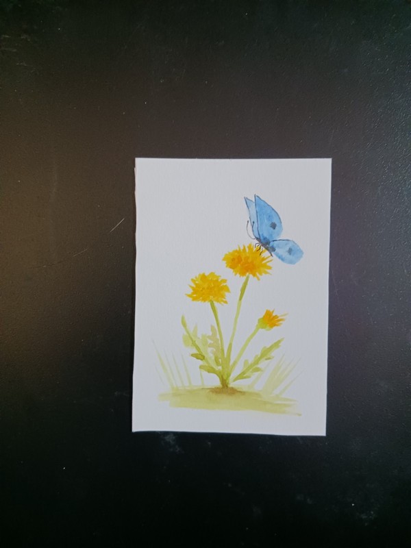 aceo original painting, watercolor and ink, dandelion butterfly
