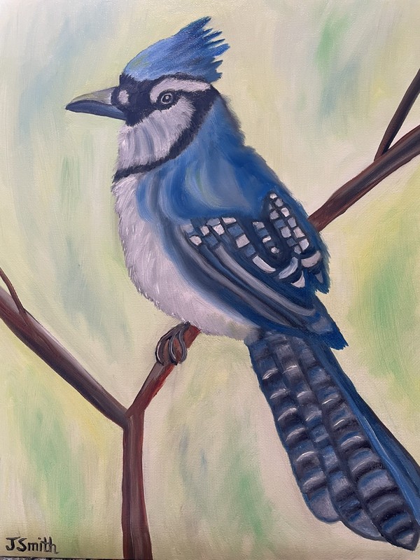 Original oil painting 11 x 14 inches gorgeous colorful blue jay bird gallery
