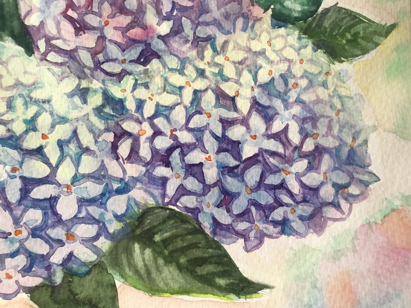Original Watercolor. Hydrangea Flowers. Blue, Purple Floral Wall Art 9"x12" gallery