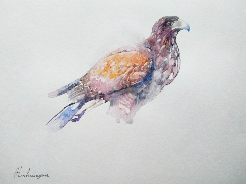 Eagle, Birds, Watercolor artwork, Handmade, Original painting on paper